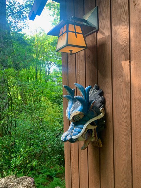 Choose Total Wellness