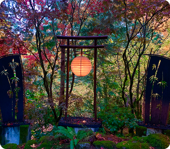 Japanese garden with lantern and trees.